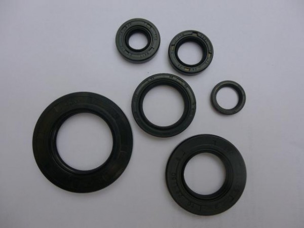 Honda CR250 1978-80 Full Engine Seal Kit