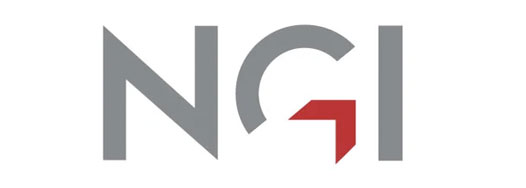 NGI logo