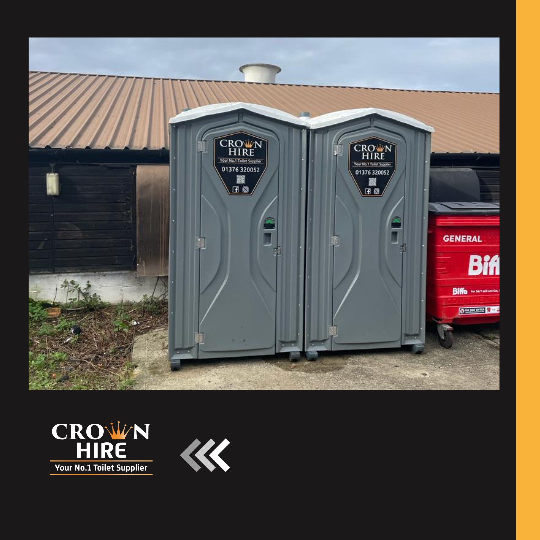 Halloween toilets