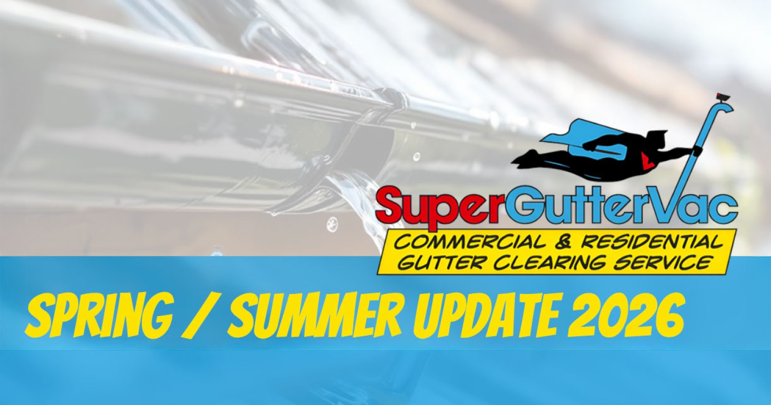 Spring / Summer Update 2026